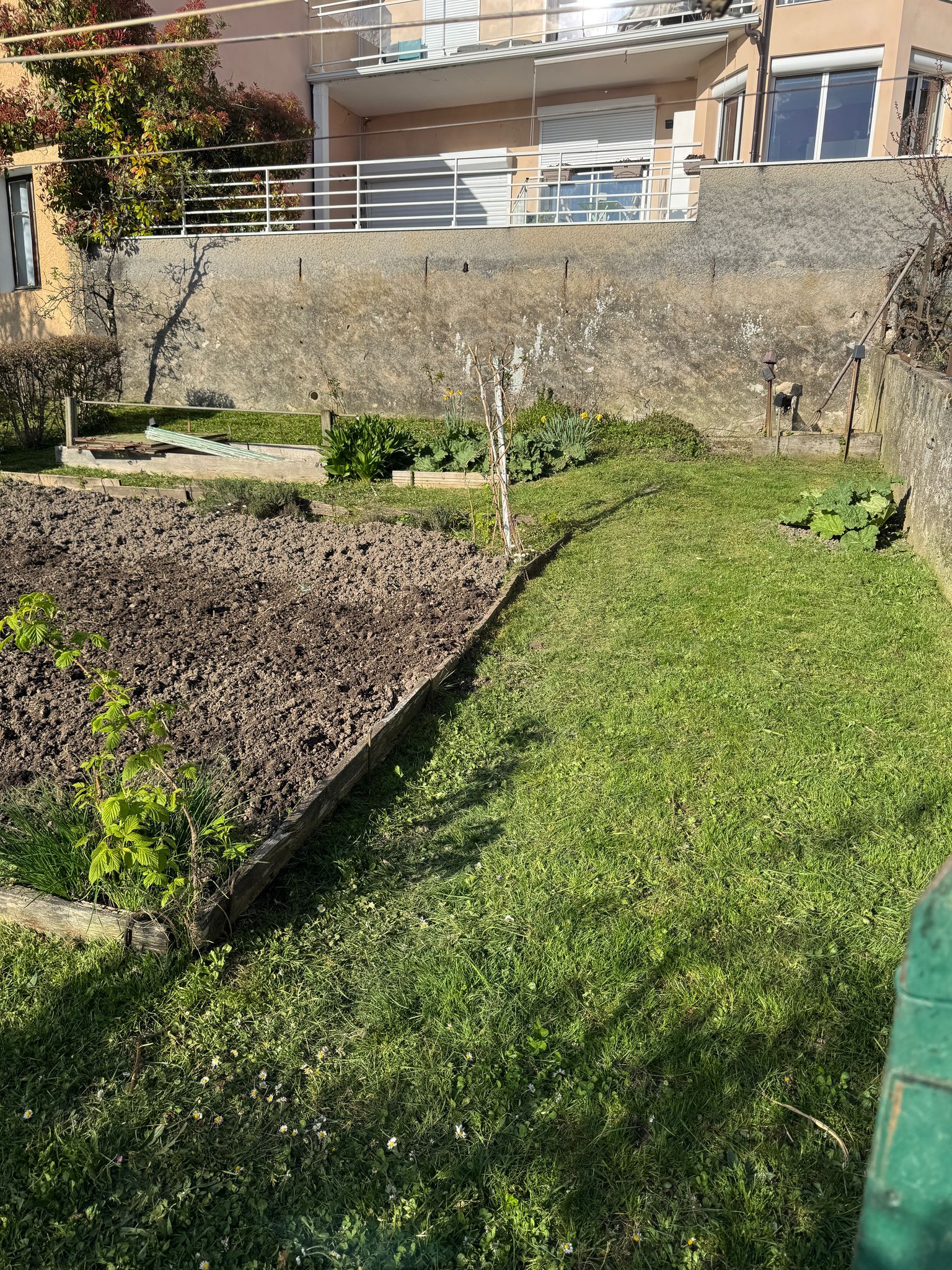 Couloir de jardin après